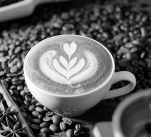 Chocolate Coffee (Regular)