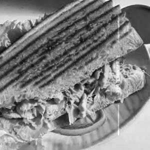 Butter Crill Chicken Tikka Sandwich