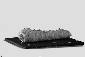 Strawberry Cream Roll