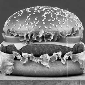Cheese Burger