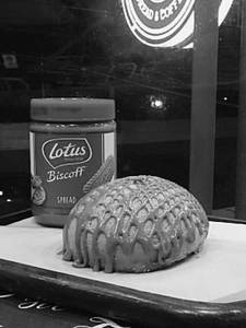 Lotus Biscoff Cookie Bun