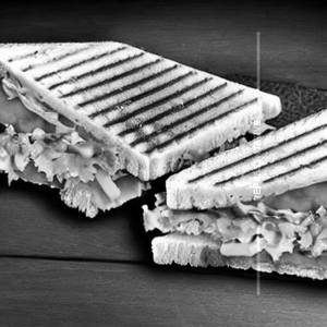Cheese Veg Grill Sandwich 
