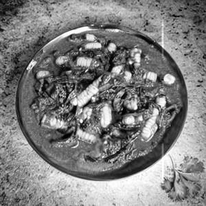 Corn Palak