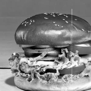 Garden fresh burger