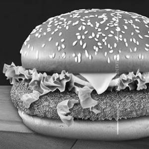 Cheese Burger
