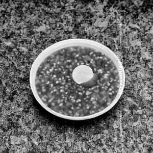 Veg Crispy Rice Soup