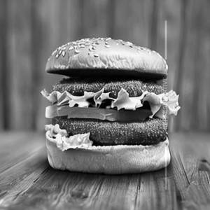Chicken Burger                                                         