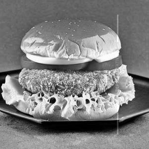 Chicken Burger                                                            