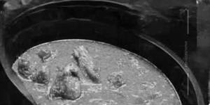Chicken Angara Dry