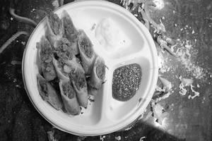 Paneer Spring Roll
