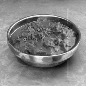 Kaju Curry