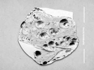 Naan Plain