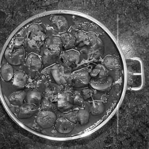 Matar Mushroom 