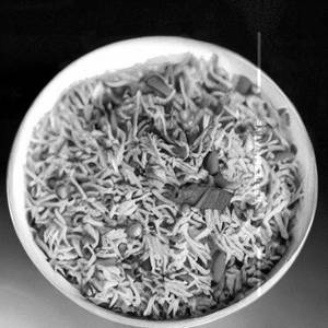 Singapuri Rice