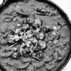 Matar Mushroom