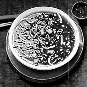 Hot & Sour Soup (Full)