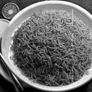 Plain Rice