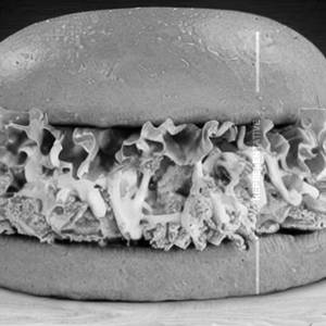 Cheesy Chicken Sandwich Double