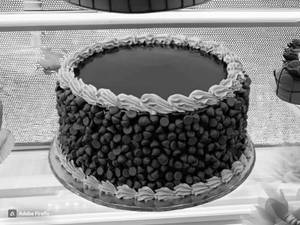 Chocolate Chip Cake [Pure Eggless]