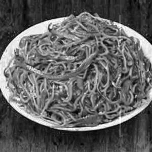 Small Portion Veg Noodle's