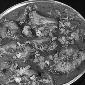 Chicken Kali Mirch
