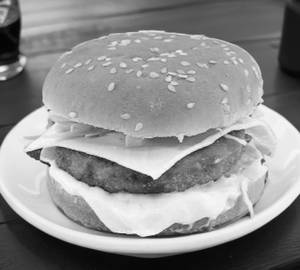Double cheese burger
