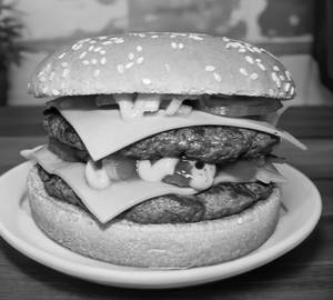 Double cheese burger