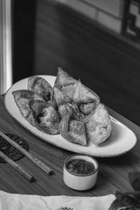 Crispy Wonton Bites