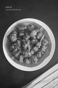 Gobi 65
