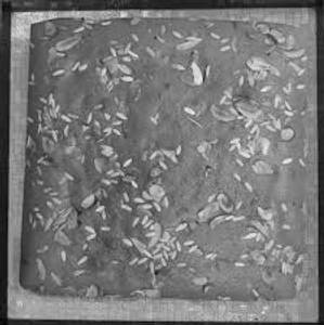 Vanilla Dry Fruit Cake (250 grams)