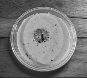 Malai Kofta