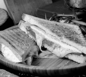 Paneer Cheese Grilled Sandwich