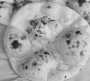 Dhanya Roti