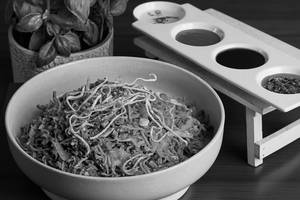 veg tripple schezwan noodles