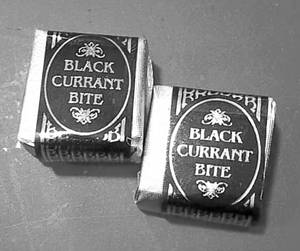 Black Current Bite