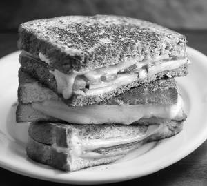 Cheese Grill Sandwich