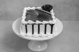 Black Current Cake Square [Pure Eggless]