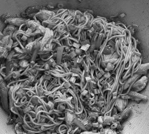Chicken Chilli Garlic Noodles