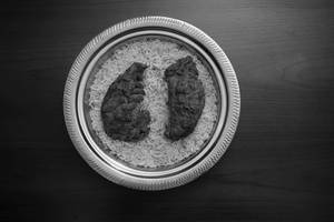 Grilled Mutton Mandi