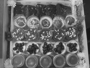 Dessert Platter Box