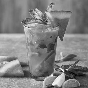 Watermelon Mojito Premium