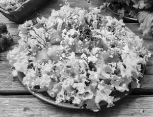 Watermelon Feta Cheese Salad