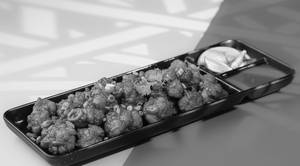 Ginger Gobi