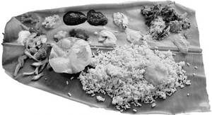 Meals