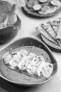 Turush E Paneer Jain