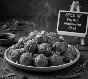 Veg Ball Manchurian (Dry)