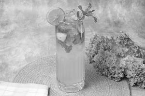 Virgin Mojito