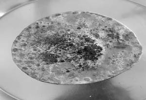 Chini Parantha