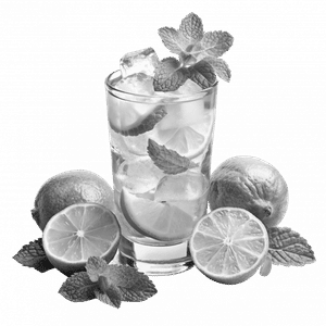 Virgin Mojito (mint)
