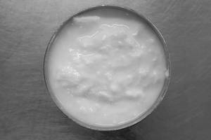 Plain Curd